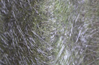 Seaburn fibreglass roof work